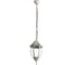 Уличный светильник Arte Lamp PEGASUS A3151SO-1WG 1