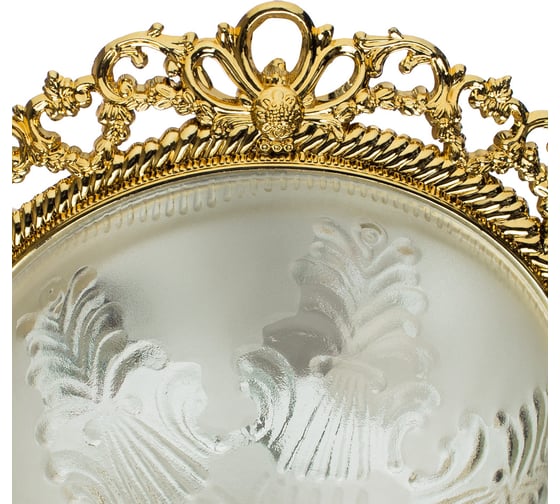 Потолочный светильник Arte Lamp PIATTI A8002PL-2GO