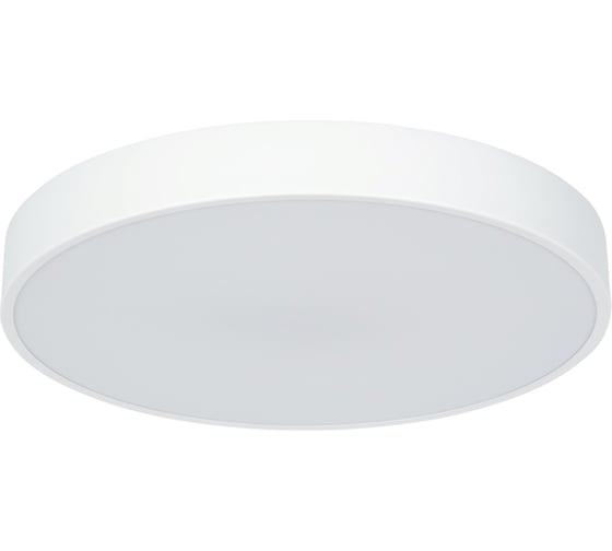 Потолочный светильник Arte Lamp ARENA A2661PL-1WH