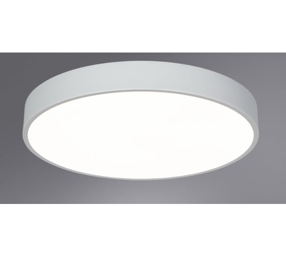 Потолочный светильник Arte Lamp ARENA A2661PL-1WH