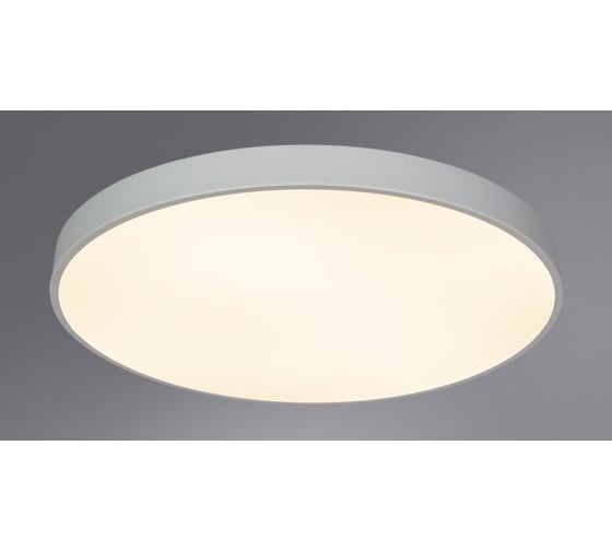 Потолочный светильник Arte Lamp ARENA A2671PL-1WH