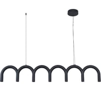 Подвесной светильник ARTE LAMP WARHOL A3258SP-45BK