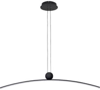 Подвесной светильник ARTE LAMP ARNO A3362SP-25BK