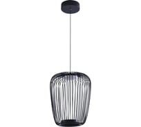 Подвесной светильник ARTE LAMP FLARE A3528SP-12BK