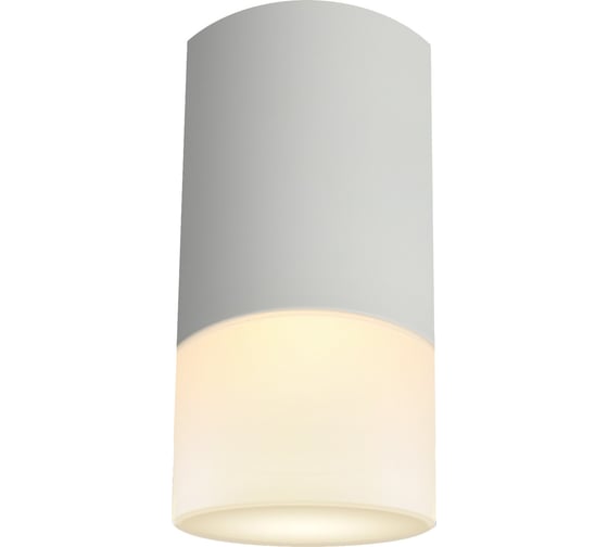 Накладной потолочный светильник Ritter RCS-65MR16-WH ф65, белый/матовое, 52059 7