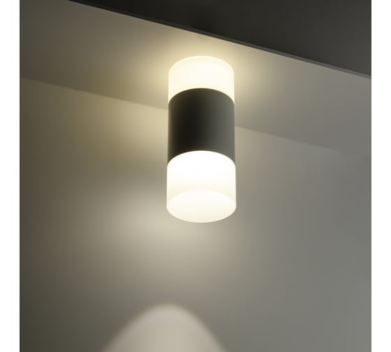 Накладной потолочный светильник Ritter RCS-80LED17W-BL ф80, COB 12W+5W, 4000K, черный/матовое, 52065 8
