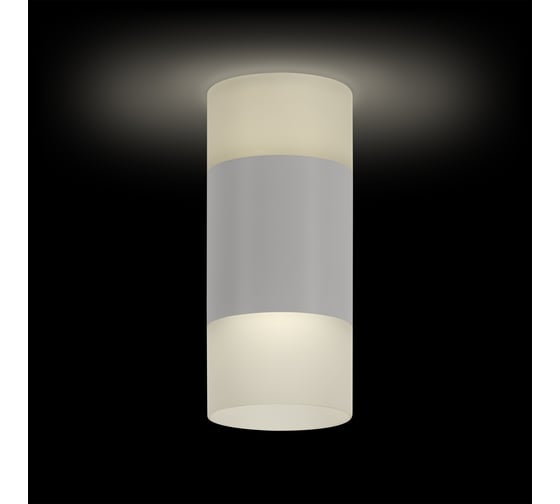 Накладной потолочный светильник Ritter RCS-80LED17W-BL ф80, COB 12W+5W, 4000K, черный/матовое, 52065 8