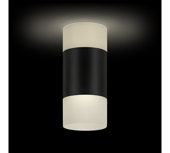 Накладной потолочный светильник Ritter RCS-80LED17W-WH ф80, COB 12W+5W, 4000K, белый/матовое, 52066 5