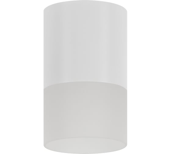 Накладной потолочный светильник Ritter RCS-80MR16-WH ф80, белый/матовое, 52061 0