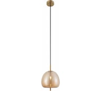 Светильник подвесной (подвес) Rivoli Claire 6137401 1 х G9 5 Вт дизайн Б0061970