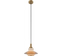 Светильник подвесной (подвес) Rivoli Camille 4113201 1 х Е27 40 Вт дизайн Б0061901
