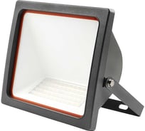 Светодиодный прожектор Jazzway PFL-AS 50Вт 4000К IP65 асимметричный 5022478