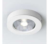 Накладной потолочный светильник Elektrostandard DLS030 10W 4200K белый a052413