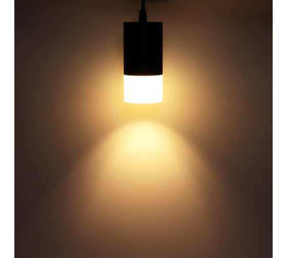 Потолочный подвесной светильник Ritter RPS-65MR16-BL ф65, черный/матовое, 52067 2