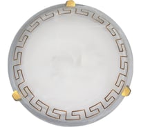 Светильник настенно-потолочный ЭЛЕТЕХ Этруска 300 НПБ 01-2x60-139 М16 коричневый /клипсы золото 1005202647