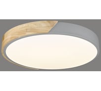 Потолочный светодиодный светильник Velante 445-227-01