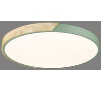 Потолочный светодиодный светильник Velante 445-467-01