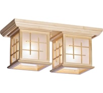 Потолочный светильник Velante 592-717-02