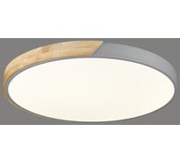 Потолочный светодиодный светильник Velante 445-267-01