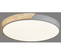 Потолочный светодиодный светильник Velante 445-247-01