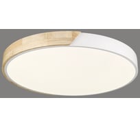 Потолочный светодиодный светильник Velante 445-047-01