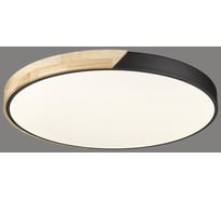 Потолочный светодиодный светильник Velante 445-667-01