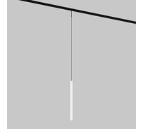 Трековый подвесной светильник MAYTONI Skim LED 3W Черно-белый TR191-1-3W2.7K-M-BW