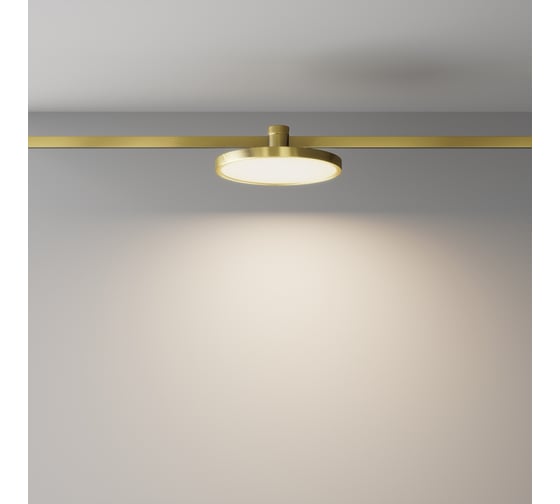 Трековый светильник MAYTONI Plato LED 10W Латунь TR153-1-10W3K-BS