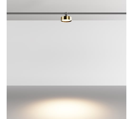 Трековый светильник MAYTONI Zon LED 12W Латунь TR204-1-12W3K-BBS