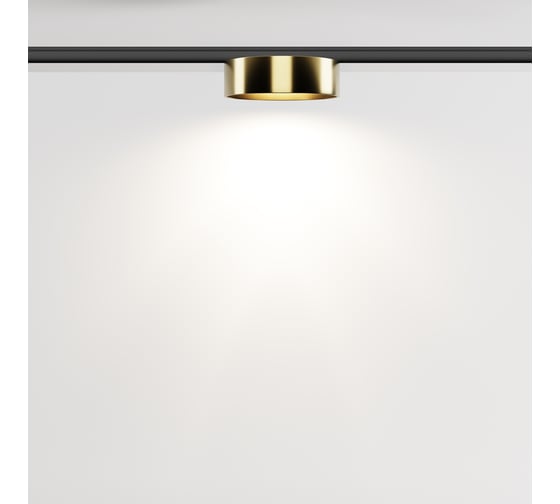 Трековый светильник MAYTONI Zon LED 12W Черный и Латунь TR189-1-12W4K-BBS