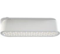 Трековый светодиодный светильник Wertmark WTH WTH.O21.007.30.06