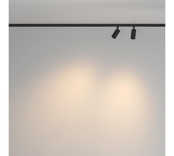 Трековый светильник MAYTONI Focus Duo LED 6W Черный TR176-1-2X3WTW-M-B