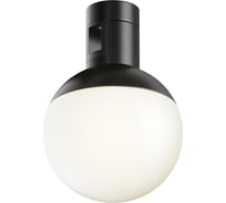 Трековый светильник MAYTONI Luna LED 5W Черный TR149-1-5W3K-B
