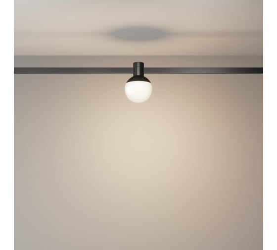Трековый светильник MAYTONI Luna LED 5W Черный TR149-1-5W3K-B