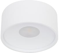 Накладной светодиодный светильник Wertmark WTA WTA.O01.007.30.12