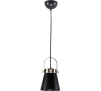 Подвесной светильник IMEX MD.3607-1-P BK+AB