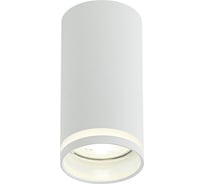 Точечный накладной светильник IMEX ARTA IL.0005.2000 WH
