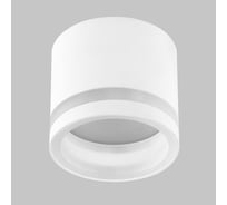 Спот IMEX ARTA IL.0005.4500 WH