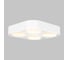 Накладной потолочный светильник IMEX SIMPLE IL.0005.2600-4-WH 2