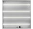 Cветодиодная панель Ultraflash LTL-6060-14, 24Вт, 6500К, призматический рассеиватель 14126 4
