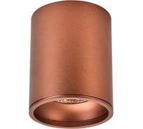 Точечный светильник Wertmark STECKEN WE801.01.607