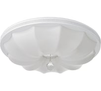 Светильник BayerLux с ПДУ 74608/1 LED 80Вт 3000-6000К диммер белый 50х50х12 см 4941583