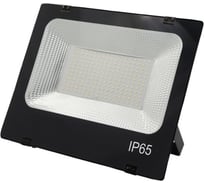 Светодиодный прожектор GLANZEN FAD-0028-100 00-00005305