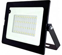 Светодиодный прожектор c датчиком движения GLANZEN FAD-0013-50-SL КА-00006959