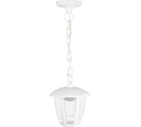 Садовопарковый светильник ЭРА ДСУ 078002 Марсель 1 белый 6 гранный подвесной IP44 светодиодный 8Вт 3 Б0064293