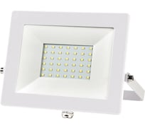 Прожектор Smartbuy FL SMD White 50W/6500K/IP65 SBL-FLWhite-50-65K