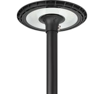 Уличный светильник ЭРА SPP506050K060 60Вт 6000лм 5000K IP65 КСС Д черный Б0062669