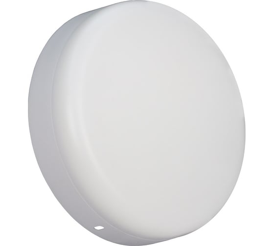 Накладной светильник LightPhenomenON Downlight LT-TP-DL-08-24W-6500K круглый, Ф174, LED Е1603-1039