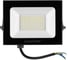 Светодиодный прожектор Lumin'arte 5500K, 50 Вт LED, IP65 LFL-50W /05 2