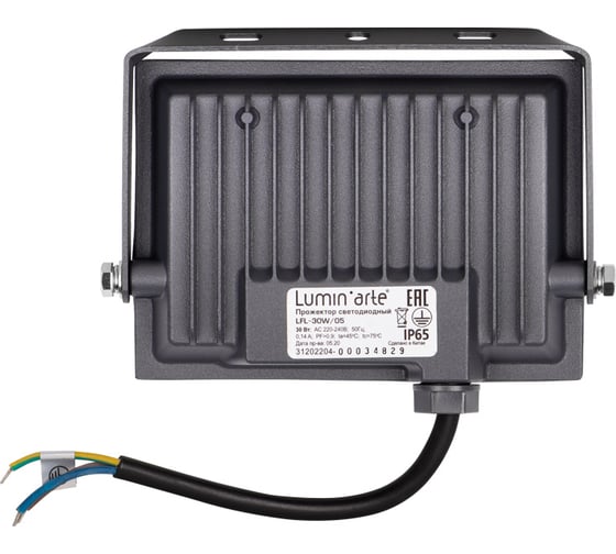 Светодиодный прожектор Lumin'arte 5500K, 30 Вт LED, IP65 LFL-30W/05